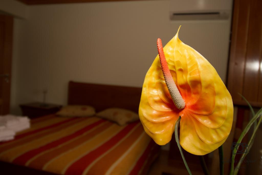 Casa Da Ribeirinha Hotel Sabugueiro  Kültér fotó